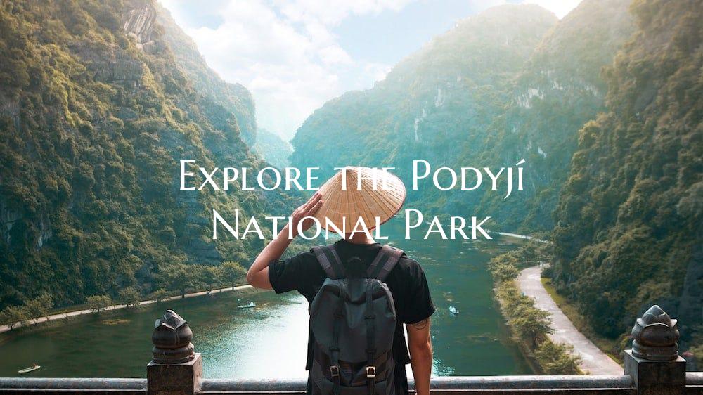 Explore the Podyjí National Park